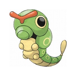 Caterpie