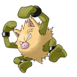  Shiny Primeape 