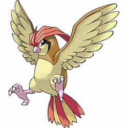 Pidgeotto