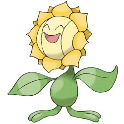 Sunflora