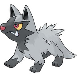 Poochyena
