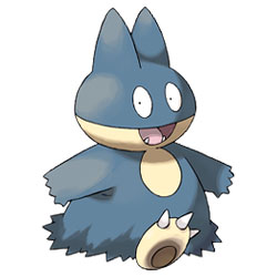 Munchlax