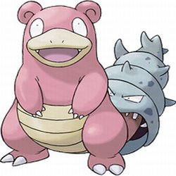  Slowbro 