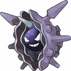  Cloyster 