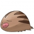 Swinub pokemon